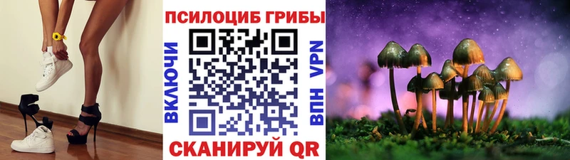 KRAKEN онион  Урень  Галлюциногенные грибы Cubensis 